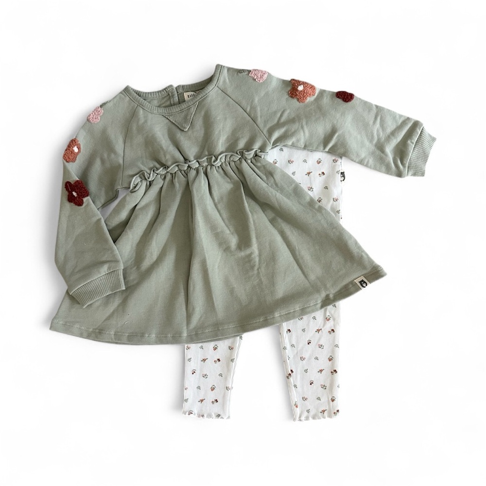 Rabbit + Bear Organic Cotton Tunic & Leggings Set Girls Size 24 Months NWT